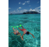 Ten activities on Hamilton Island