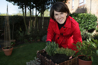Grow your own in Chesterfield