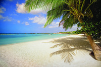 Thomson Airways to fly weekly from Manchester to Aruba