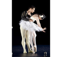 Australian Ballet returns to Qualia