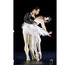 The Australian Ballet