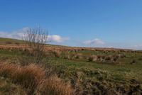 Last chance for luxury at Llewellyn’s View