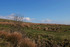 Views from Llewellyn's View