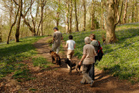 Family walking holidays