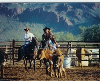 Team Penning, White Stallion Ranch