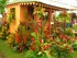 The SPice of Life - A Grenada Garden