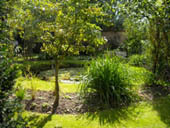 Character home is a garden lover’s paradise