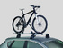 Thule