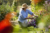 Enjoy an energy-boosting retirement in Ditchling