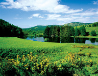 Perthshire sporting estate a ‘hidden gem’
