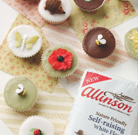 2010 sees revival of the fairy cake