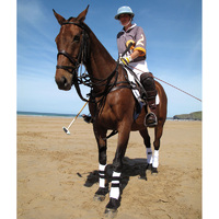 ‘Polo on the Beach’ returns to Cornwall