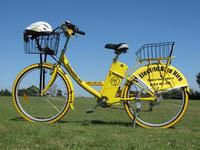 Yellowbike launches in the New Forest