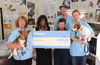 Generous donation helps homeless pets in Northiam