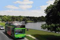 New Forest offers bus tour service