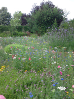 Stratford Butterfly Farm celebrates 25 years