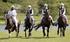 Prince Malik's Lancers