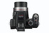 Panasonic Lumix DMC-FZ100