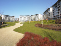 Beat the landlord at Park Central in Birmingham 