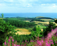 Denmark’s Eastern Jutland - A pristine playground