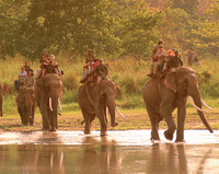 Saga travellers get more adventurous