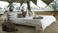 Luxury wildlife camp in Kenya celebrates 10 years