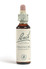 Bach Honeysuckle remedy