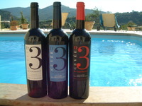 Celebrate the grape harvest in the South of France
