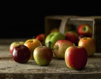 The English apple season is upon us