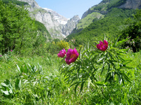 Walking in the Majella National Park, Italy