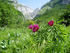 Walking in the Majella National Park, Italy