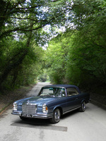 Immortalised Mercedes to make its mark