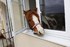 Taylor Wimpey Pony