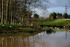 Pond with ducks