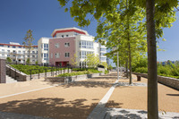 Villa launch success at Bristol's Harbourside