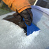 Ice windscreen
