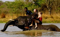 Get closer to your adventurous side with Acacia Africa
