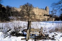 Festive fun in Shakespeare Country
