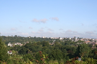 Millwood returns to Forest Road in Tunbridge Wells
