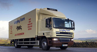 DAF CF