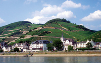 The Rhine