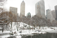 More ways to save in New York this winter