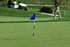 Golf green