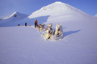 Adventures for dads and their kids