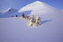 Adventure holidays for dads and their kids