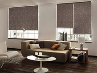 See blinds in a new light with Controliss