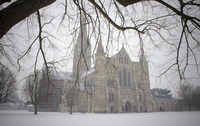 See Bruce Munro’s Water-Towers at Salisbury Cathedral