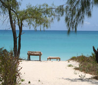 Vamizi Island, Mozambique ticks all the boxes