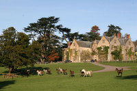 Spring treats at Combe House Devon