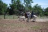 Roping at the Moore Working Ranch